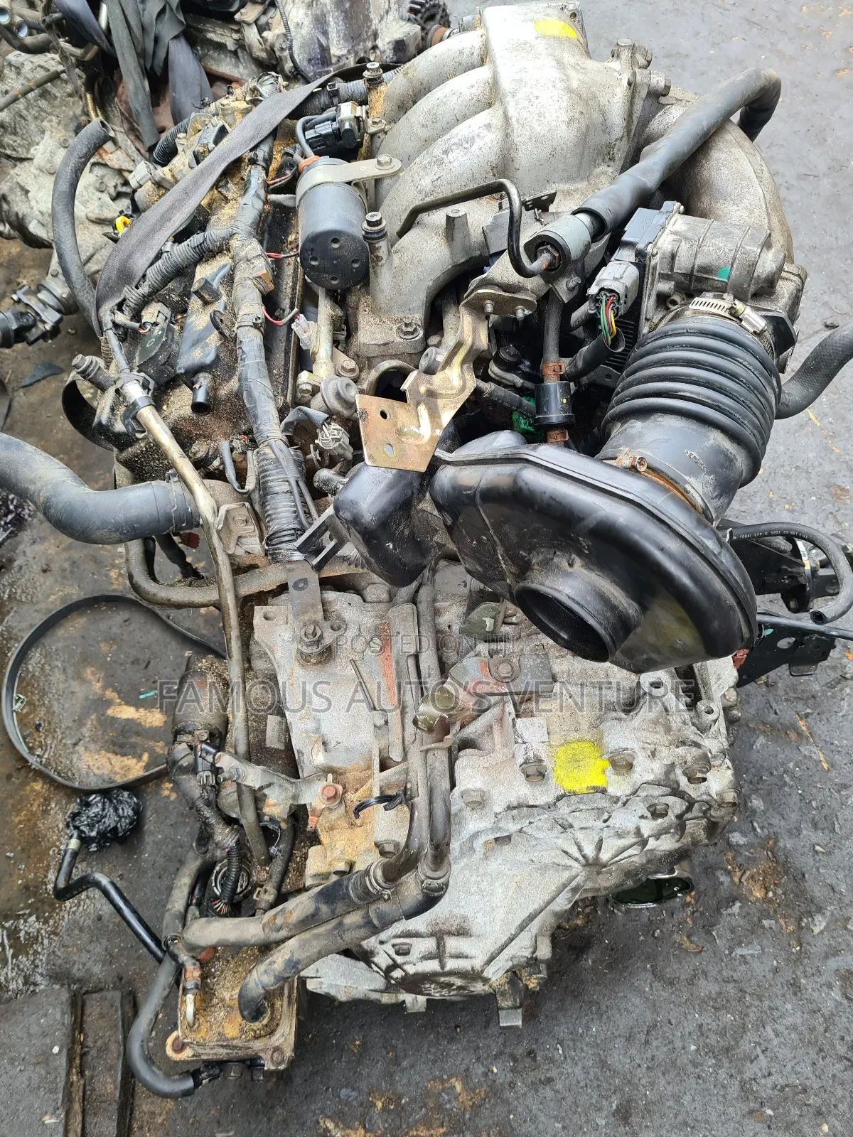 Nissan Altima / Quest /Murano and Nissan Maxima 2005