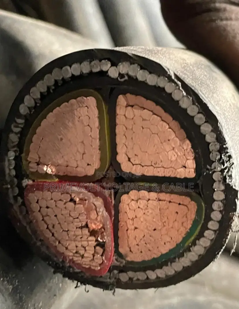 300mm 4core Armoure