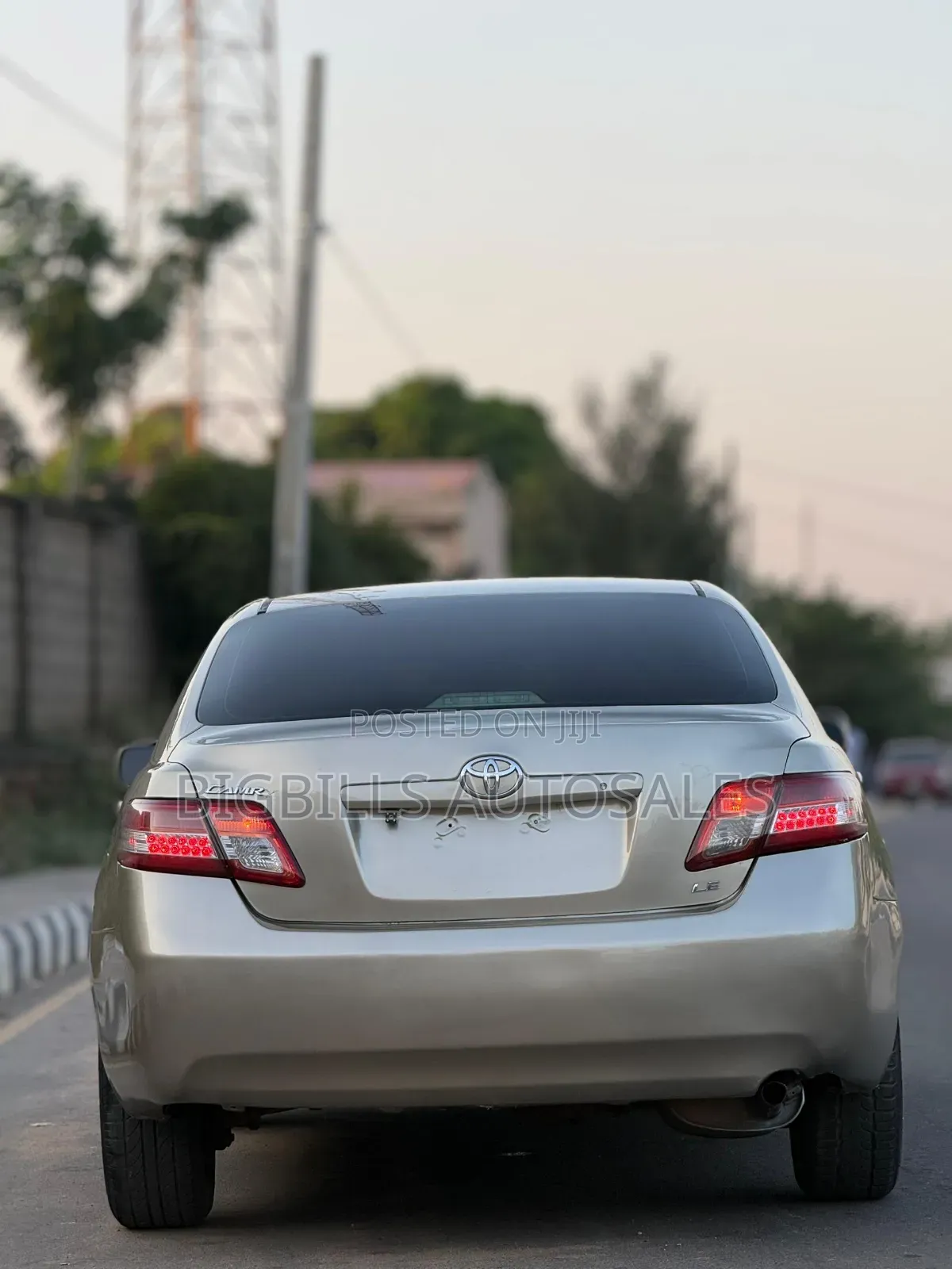 Toyota Camry 2010 Brown