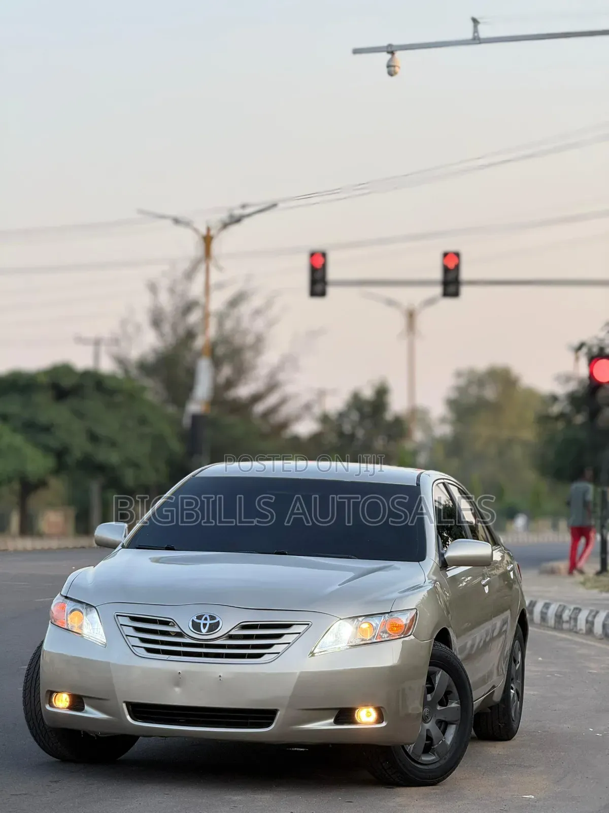 Toyota Camry 2010 Brown