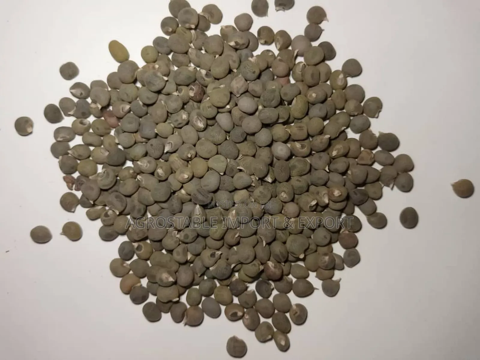 Okra Seed 1kg Pack