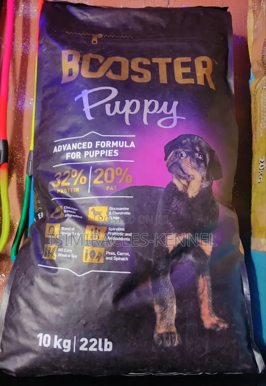 Booster Puppy