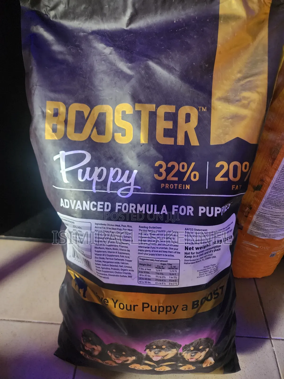 Booster Puppy