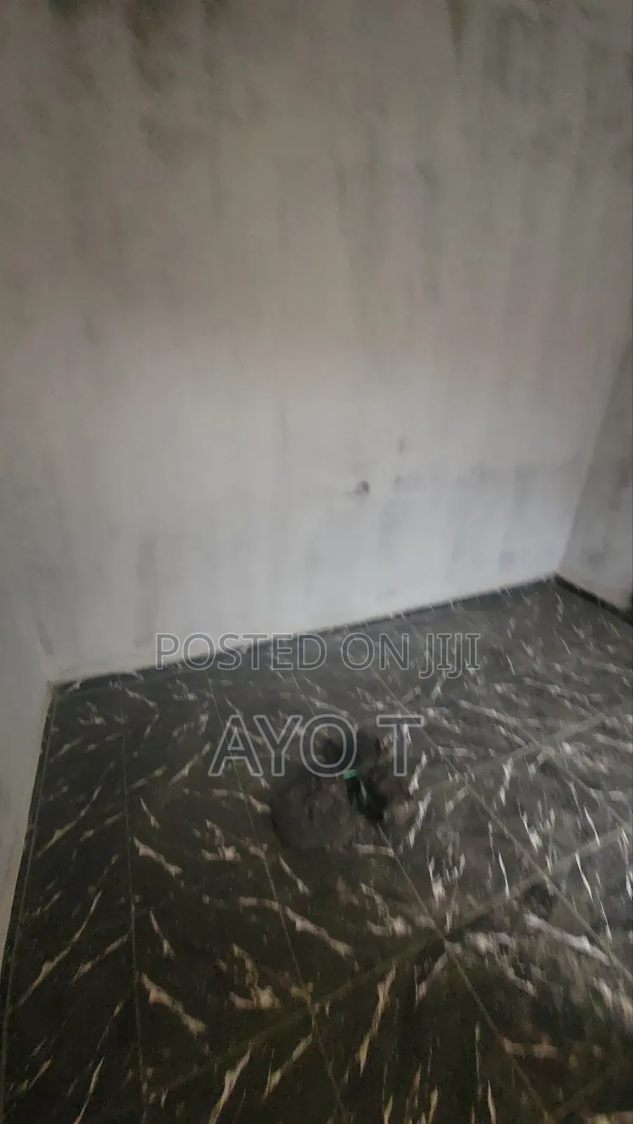 Studio Apartment in Bariga for rent