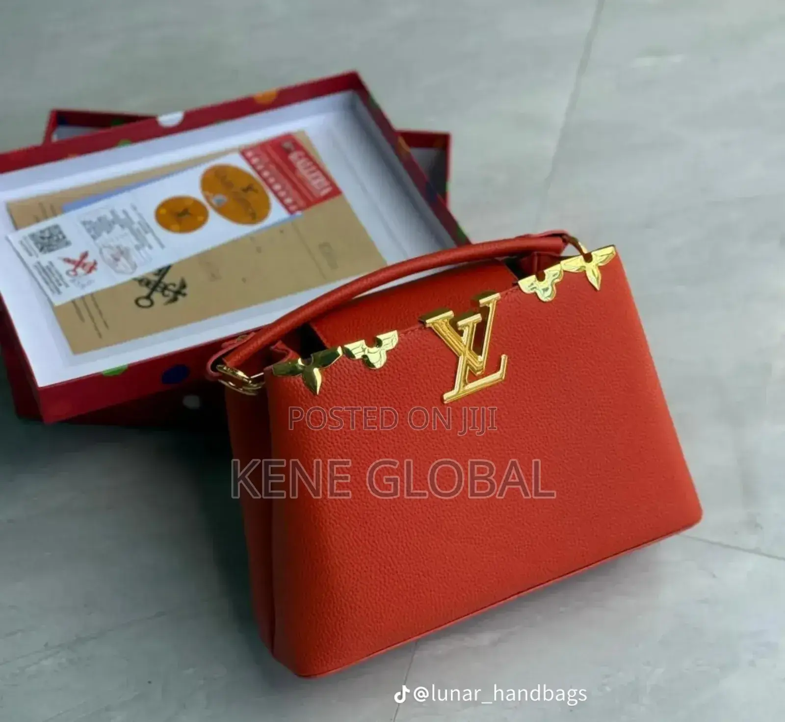 Louis Vuitton Bag