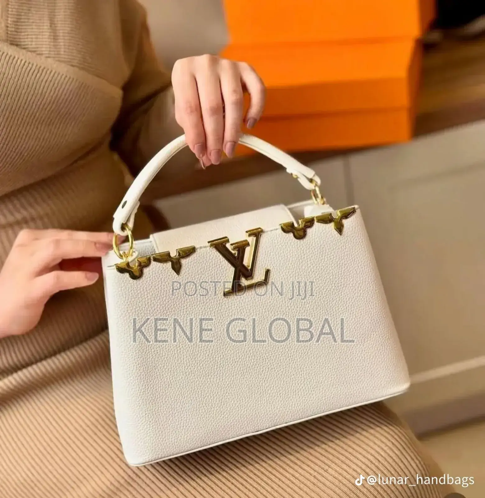 Louis Vuitton Bag