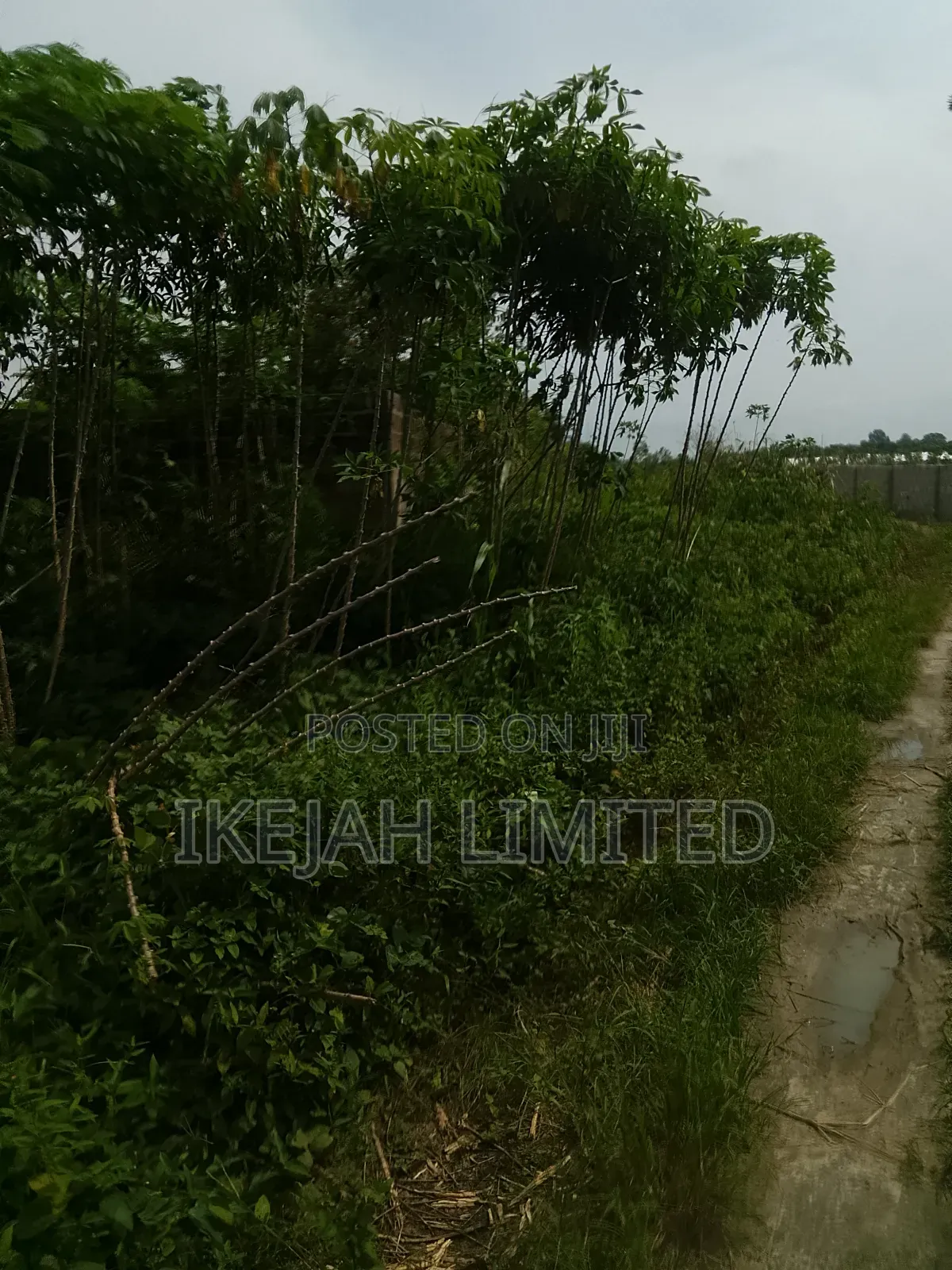 A Full Plot of Land for Sale at Epe