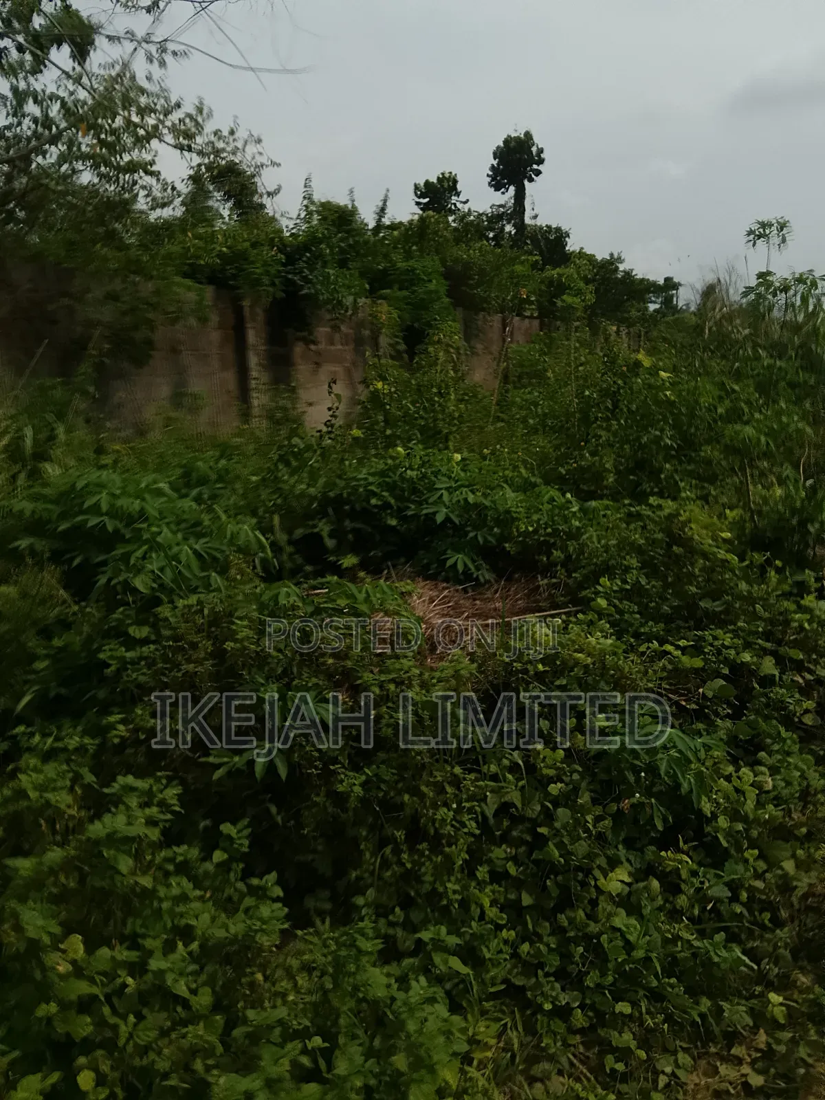 A Full Plot of Land for Sale at Epe