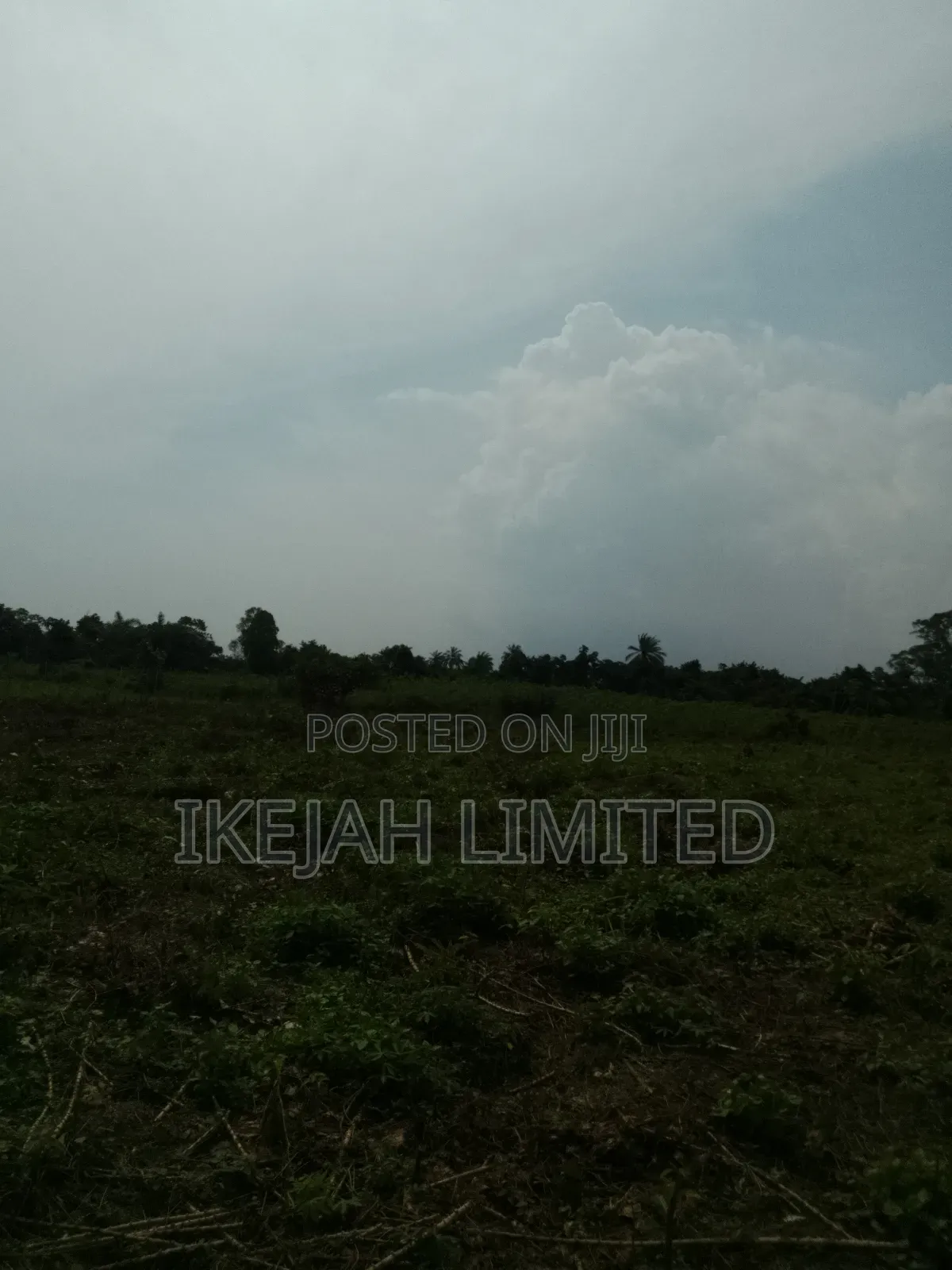 Land for Sale in Eleko