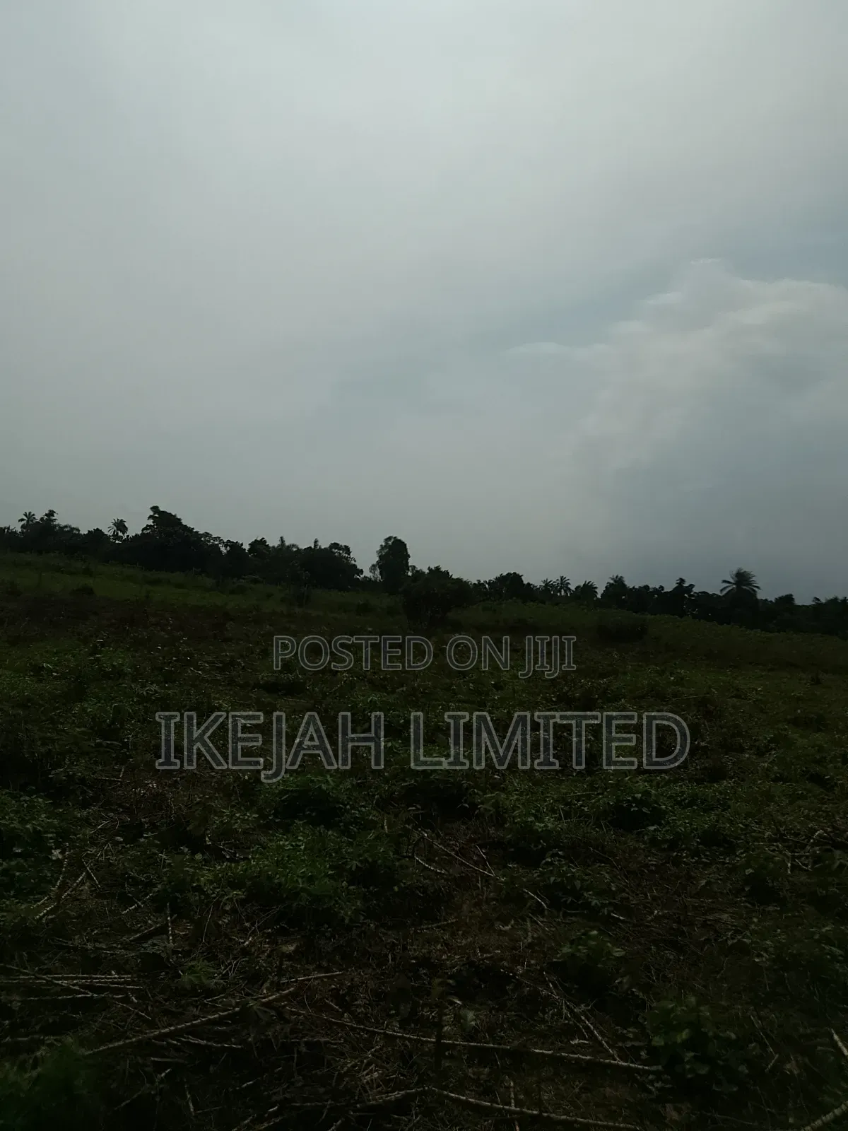 Land for Sale in Eleko