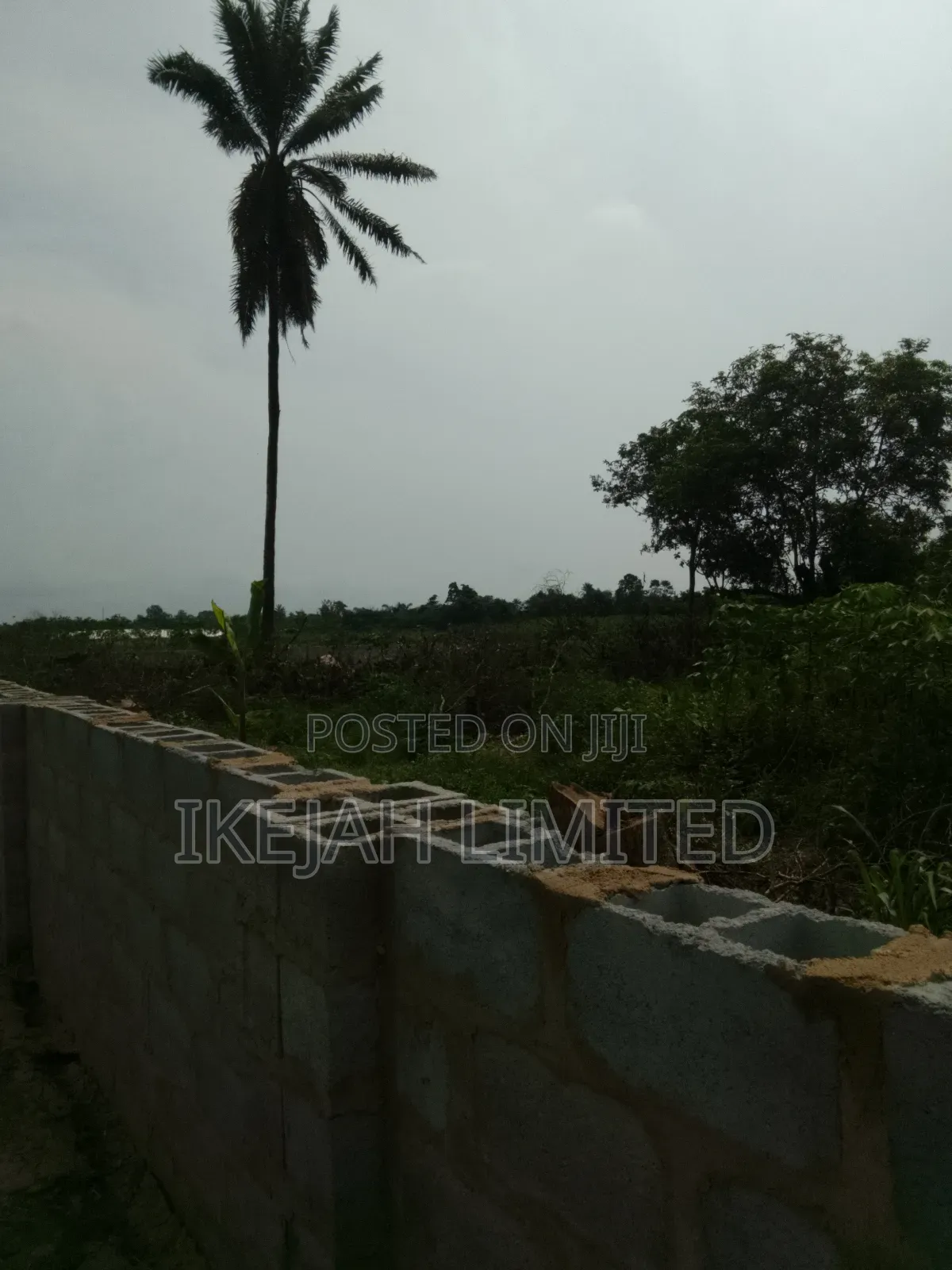 A Plot of Land for Sale