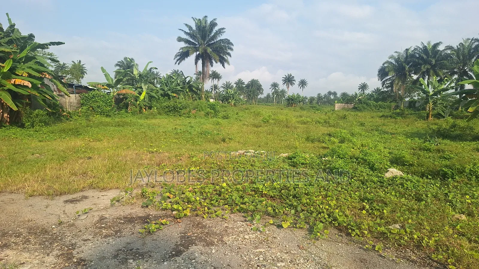 For Sale - 302 Plots (C of O) at Rupokwu, Port Harcourt