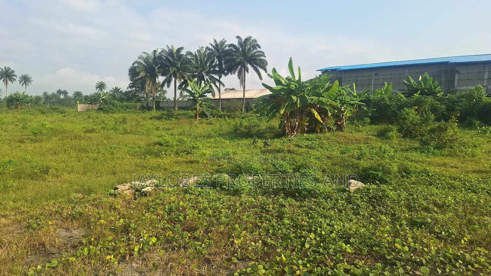 For Sale - 302 Plots (C of O) at Rupokwu, Port Harcourt