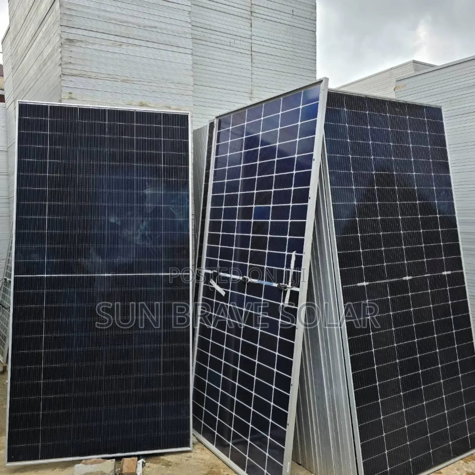 650w Jinko Mono Solar Panels Available Now