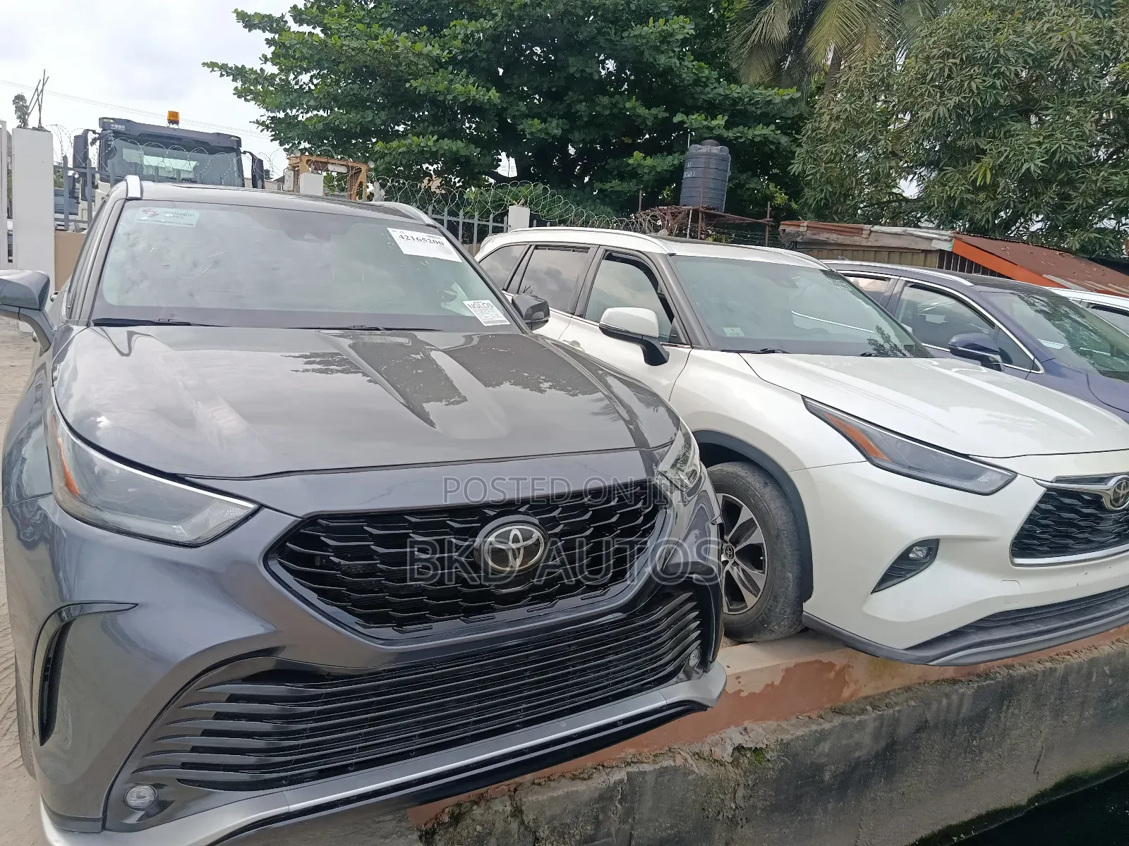 Toyota Highlander XLE AWD 2023 Gray
