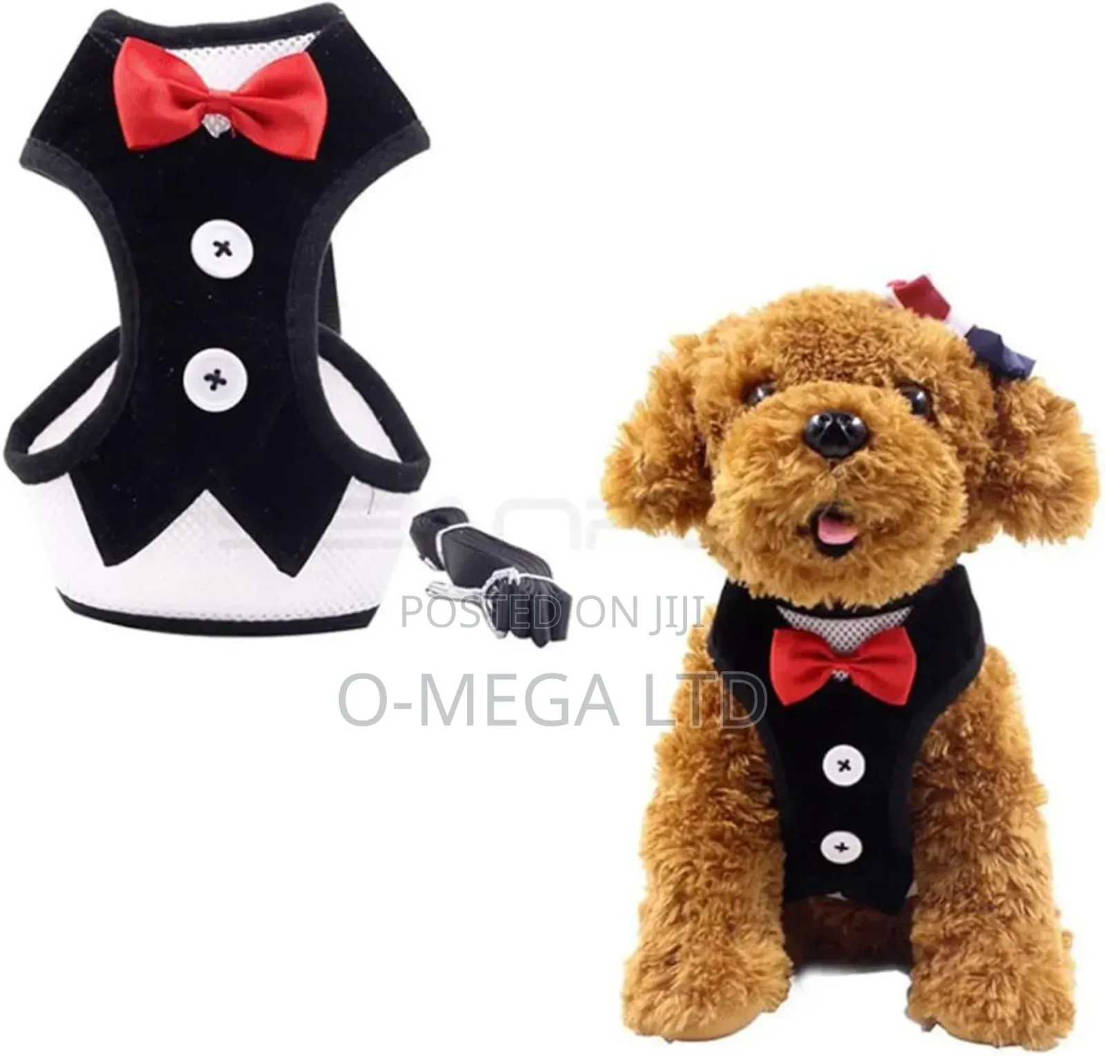 Bowtie Harness Leash