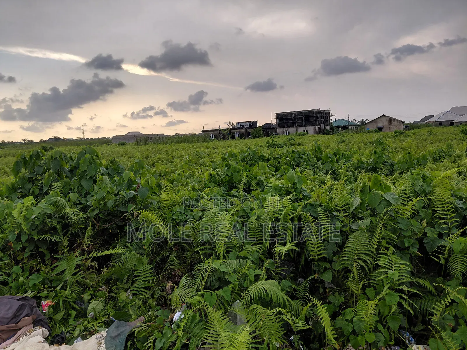 2378sqm Joint Venture Obanikoro Facin Ikorodu Road