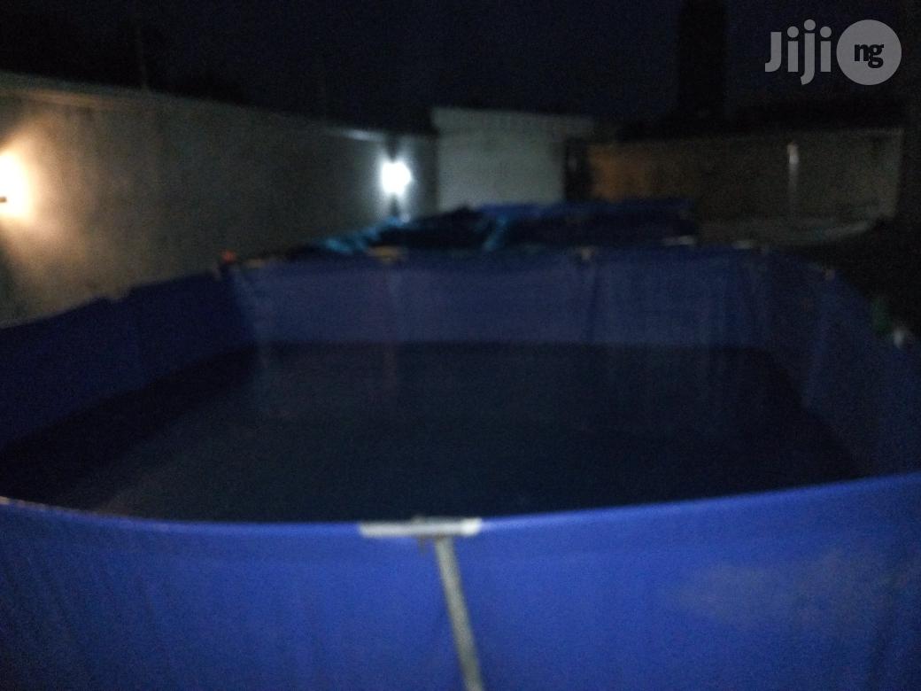 Fish Pond And Accessories