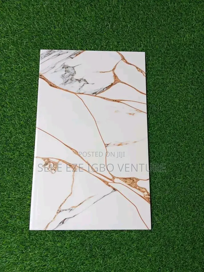 Toilet Wall Tiles