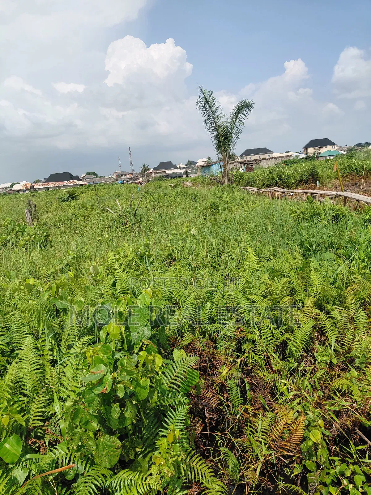 300sqm Unity Bustop Ijegemo Near Ikotun Alimosho