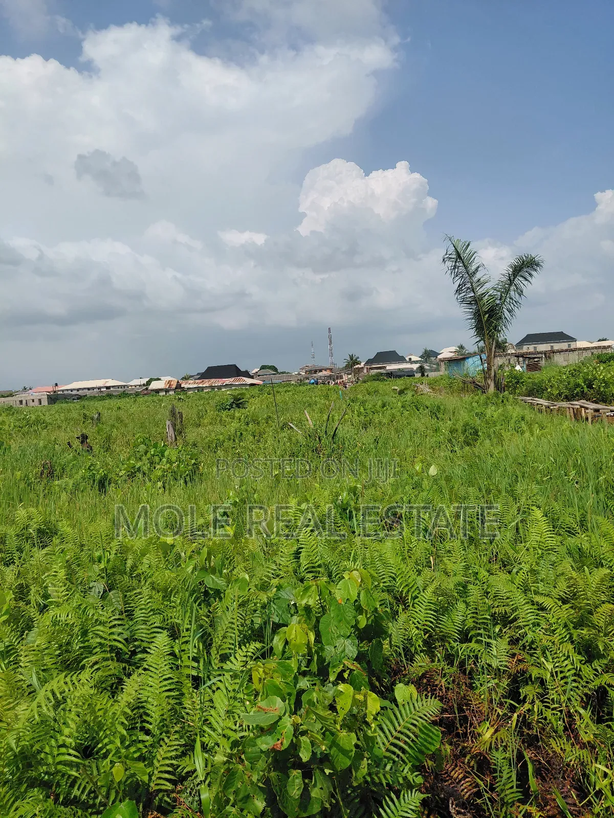 300sqm Unity Bustop Ijegemo Near Ikotun Alimosho