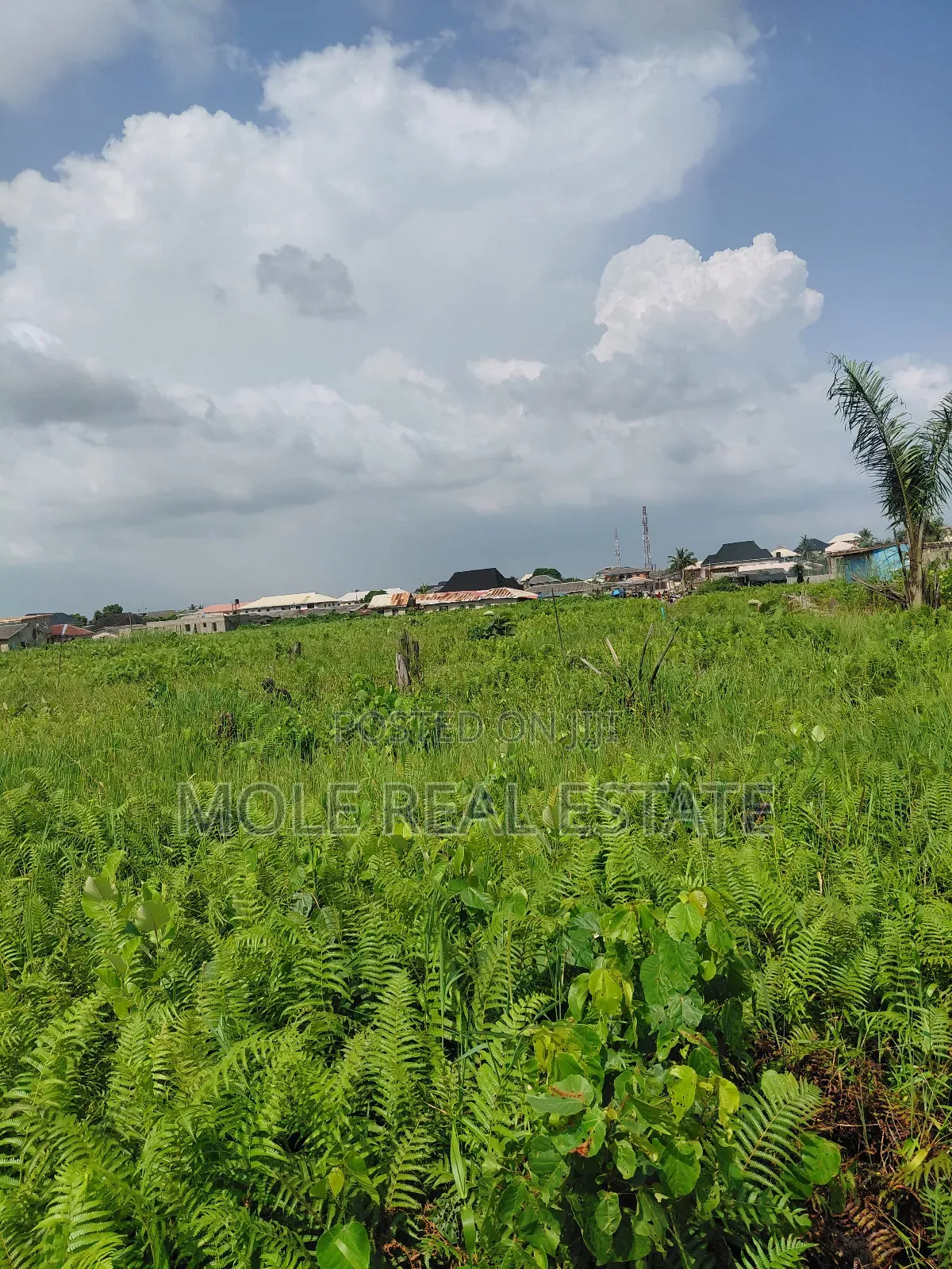 300sqm Unity Bustop Ijegemo Near Ikotun Alimosho
