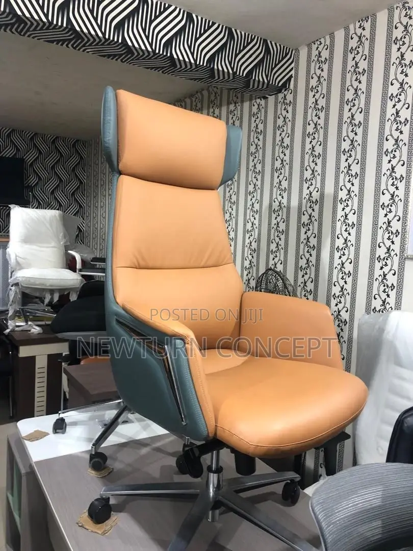 Director Executive Office Chair