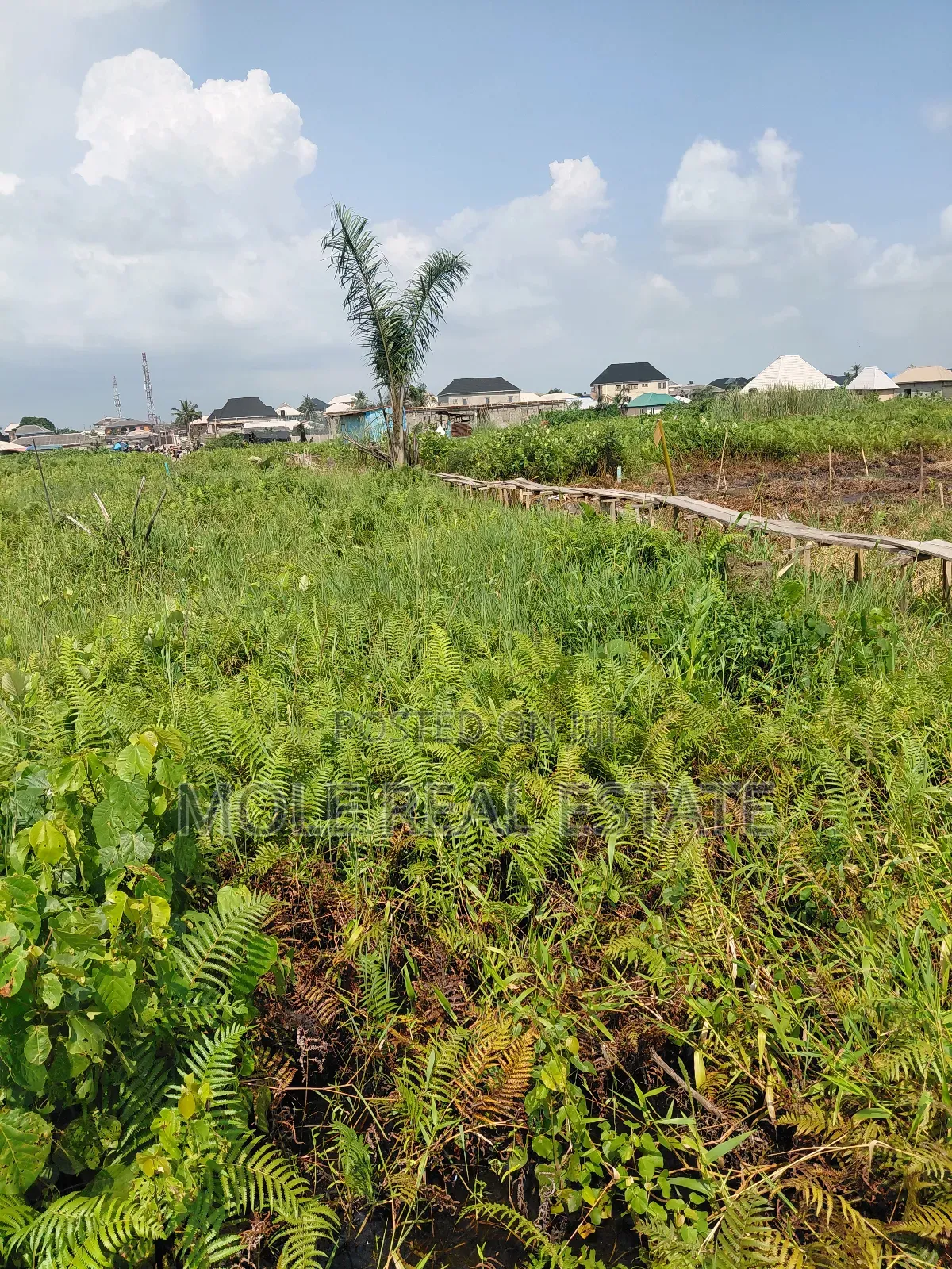 Over 400 Acers Of Land Sagamu Papalanto Ogun State
