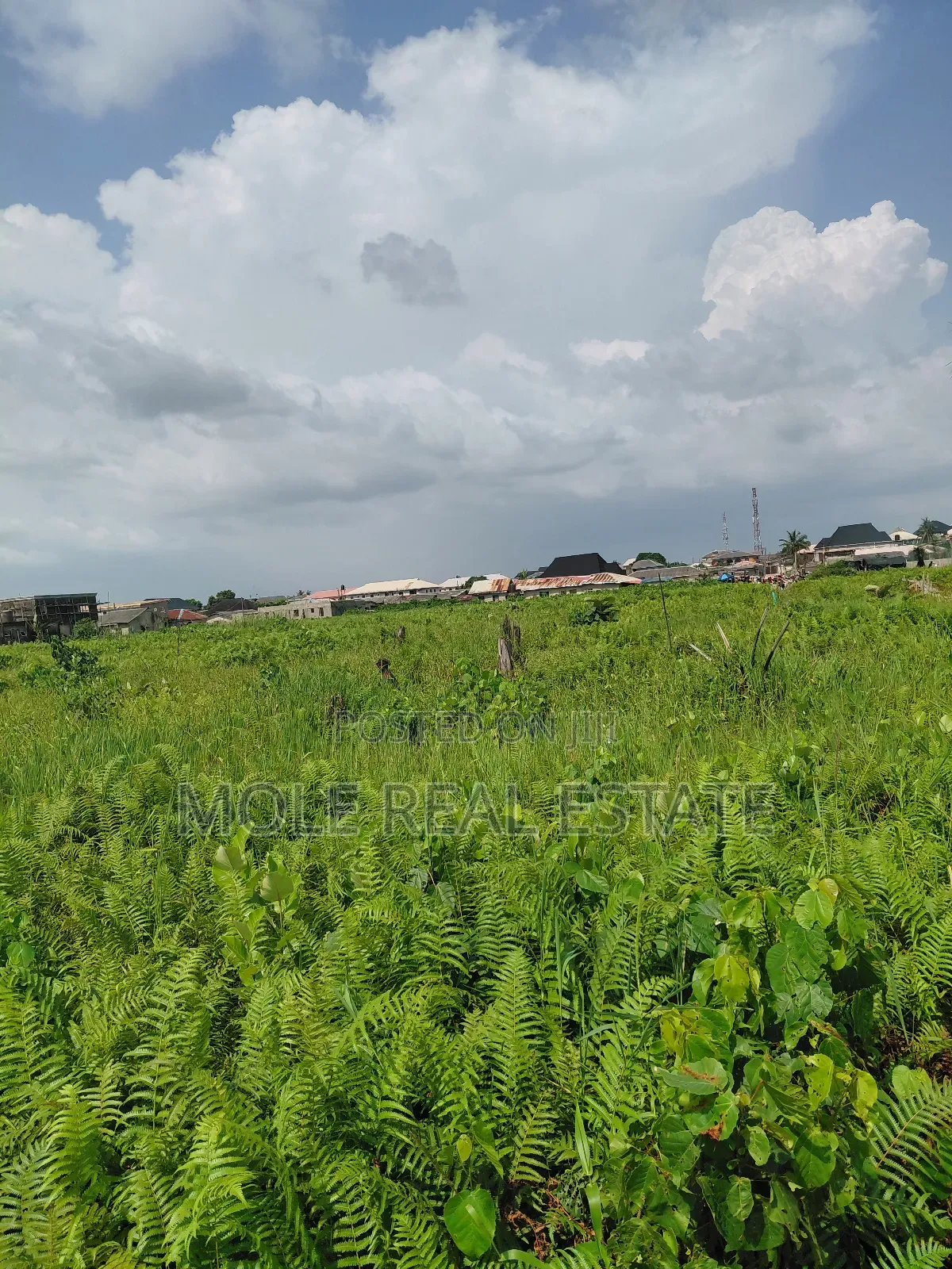 Over 400 Acers Of Land Sagamu Papalanto Ogun State