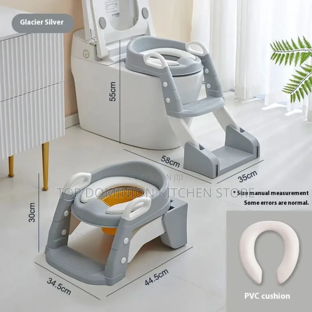 2in 1 Potty Ladder