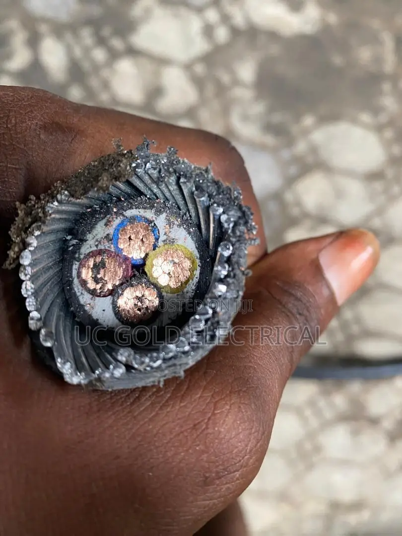 Armored Cable