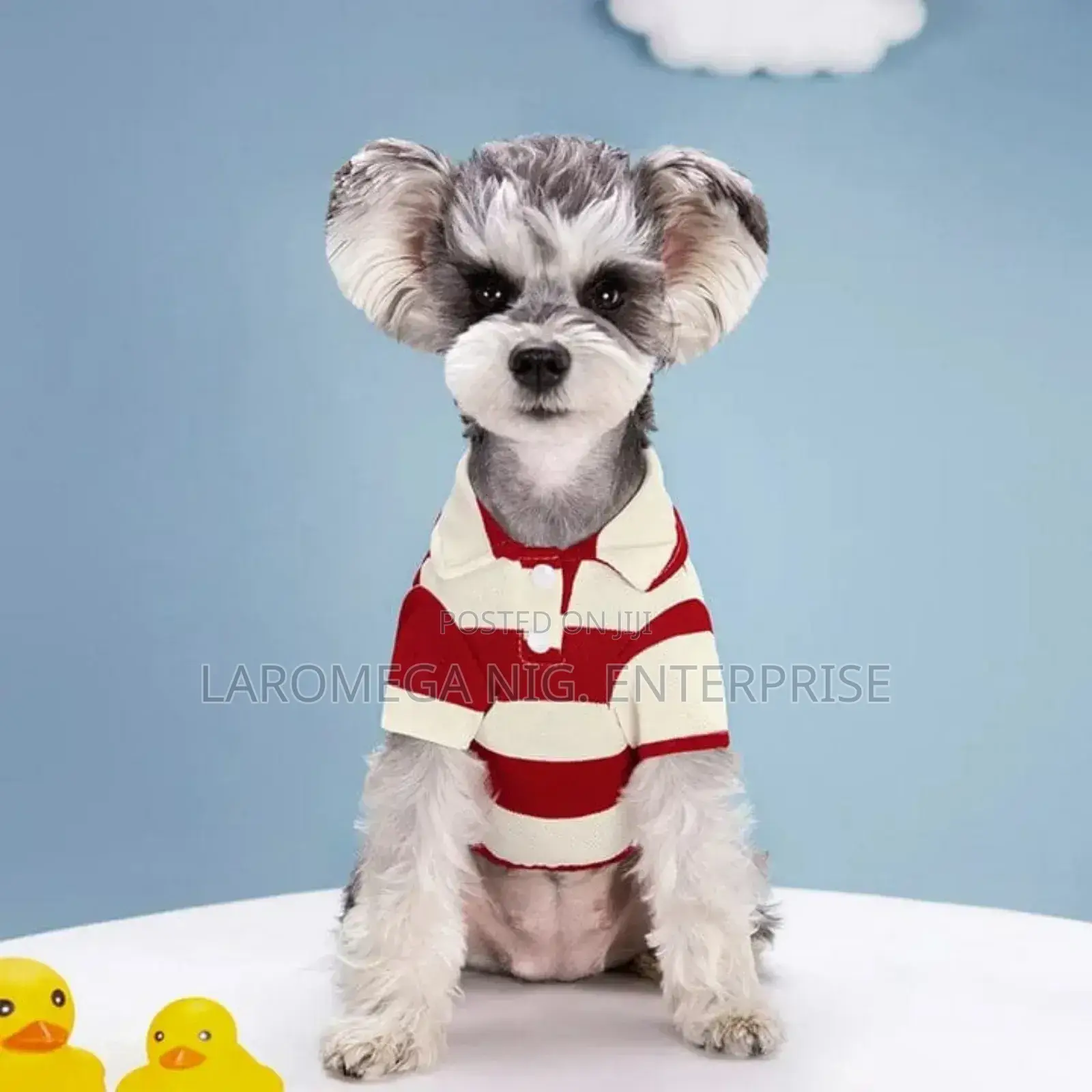 Pet Cloth (T-Shirt)