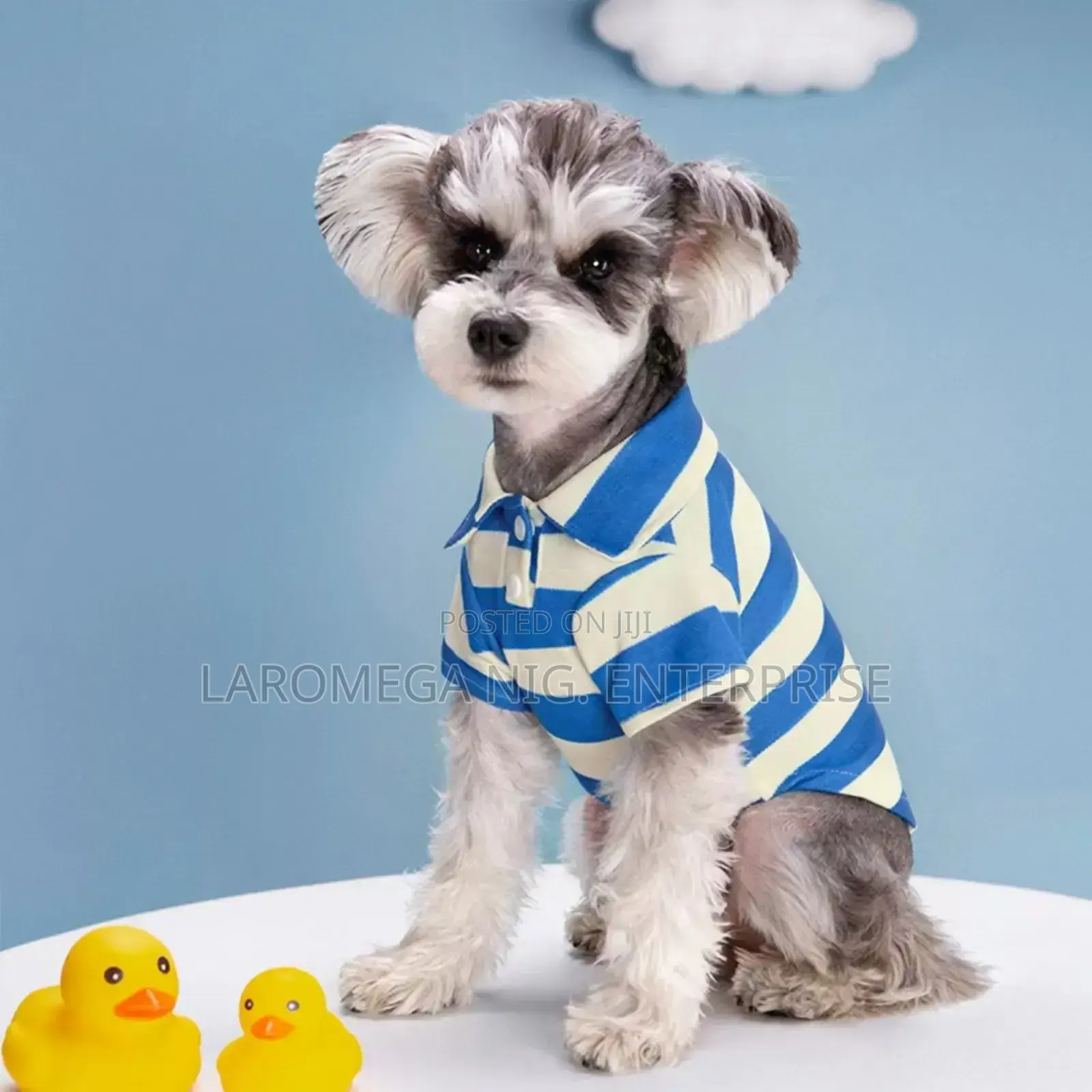 Pet Cloth (T-Shirt)