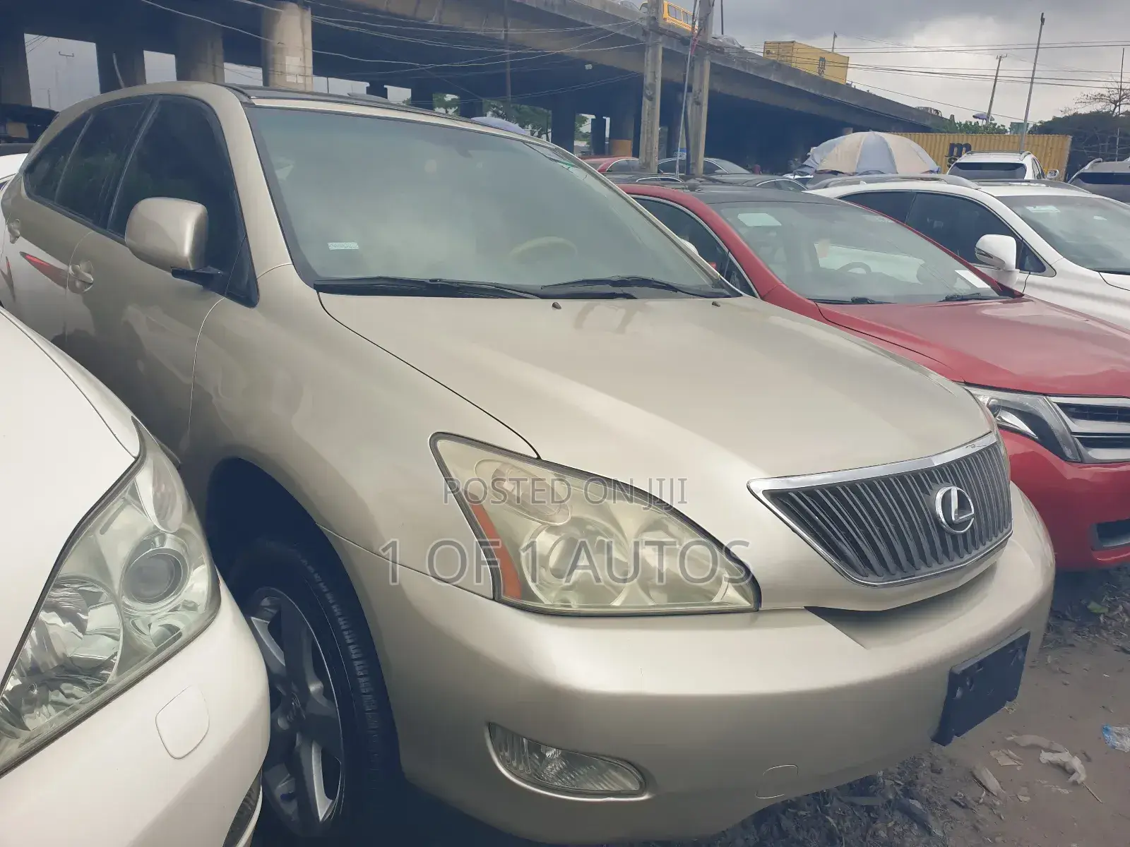 Lexus RX 330 2006 Gold