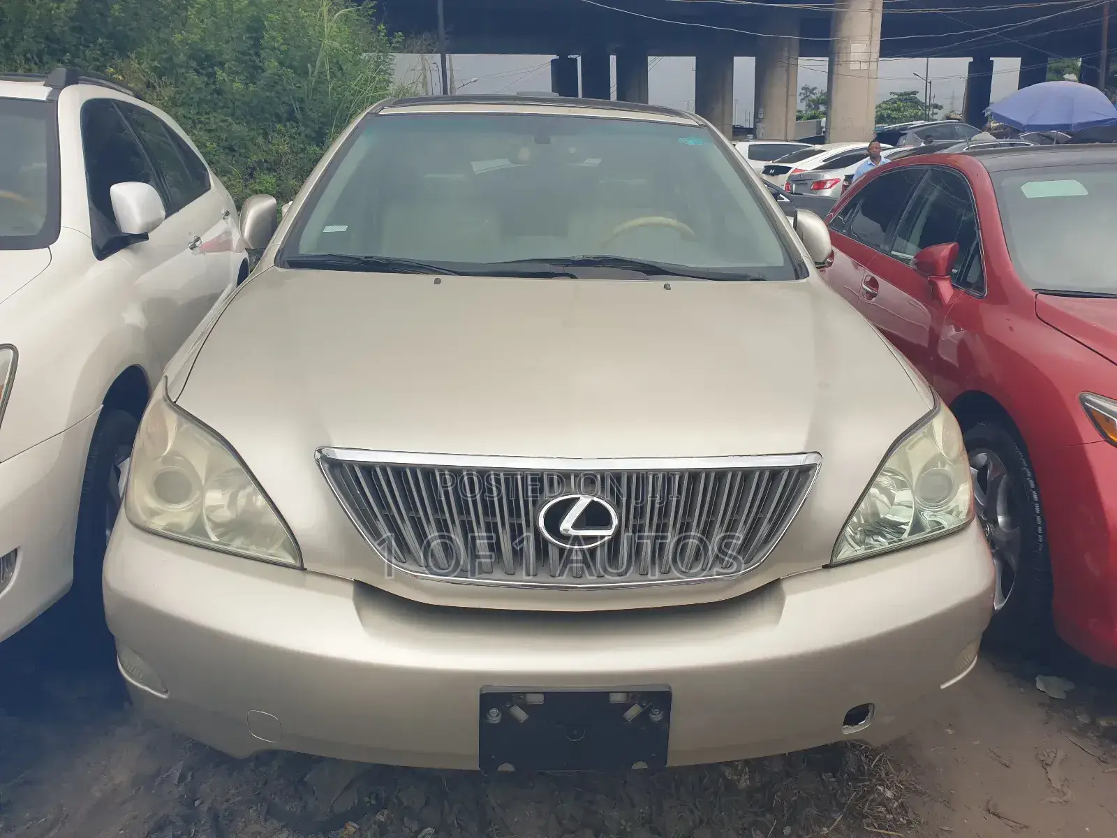 Lexus RX 330 2006 Gold