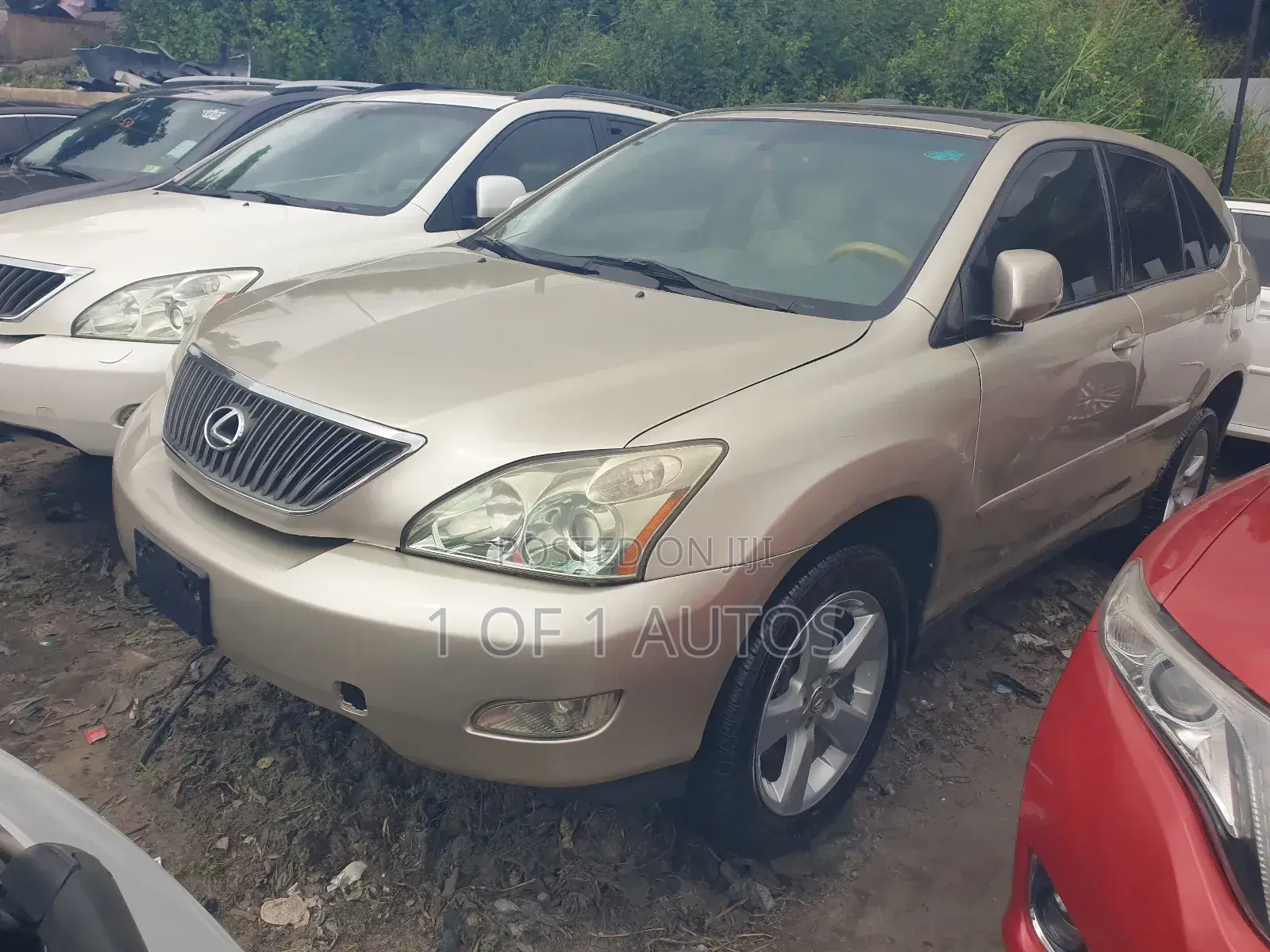 Lexus RX 330 2006 Gold