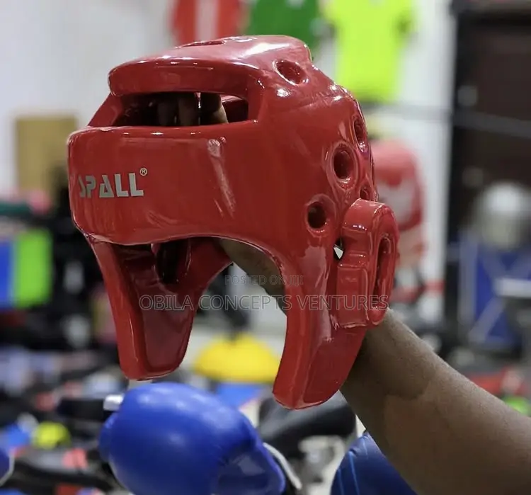 Teakwondo Headgear