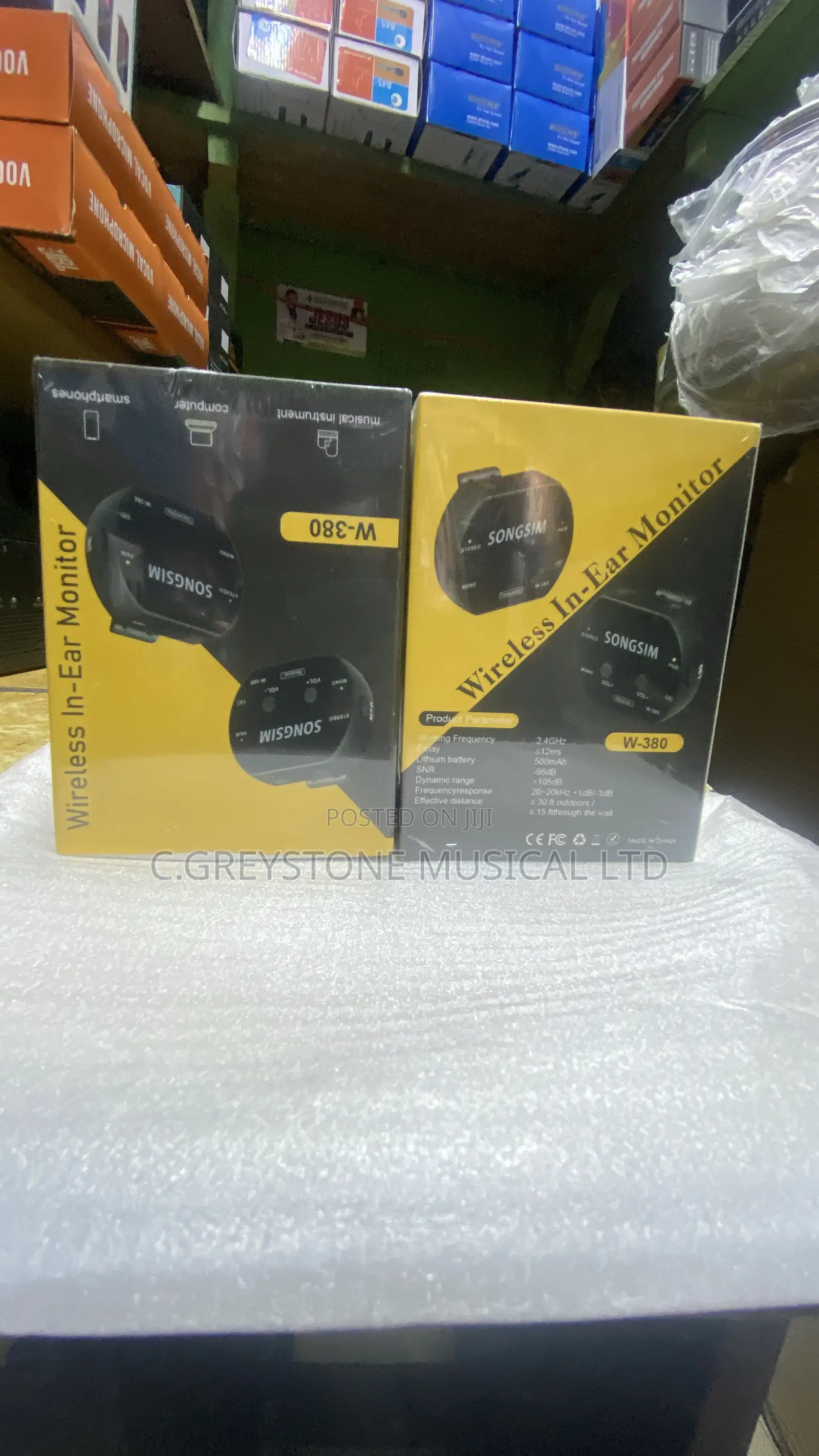 Wireless in-Ear Monitor