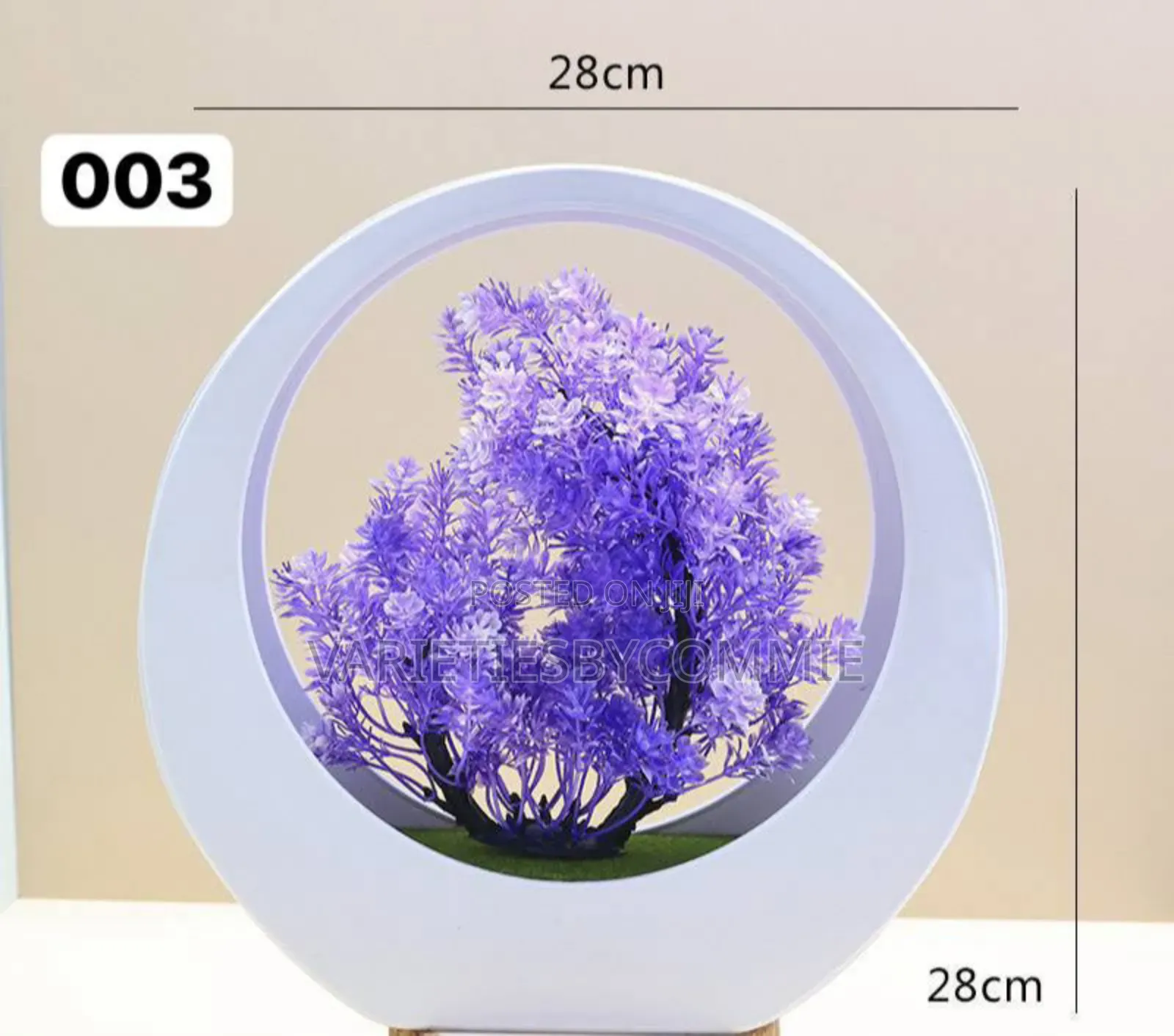 Bansai Potted Flowers for Home Decor and Special Occasions