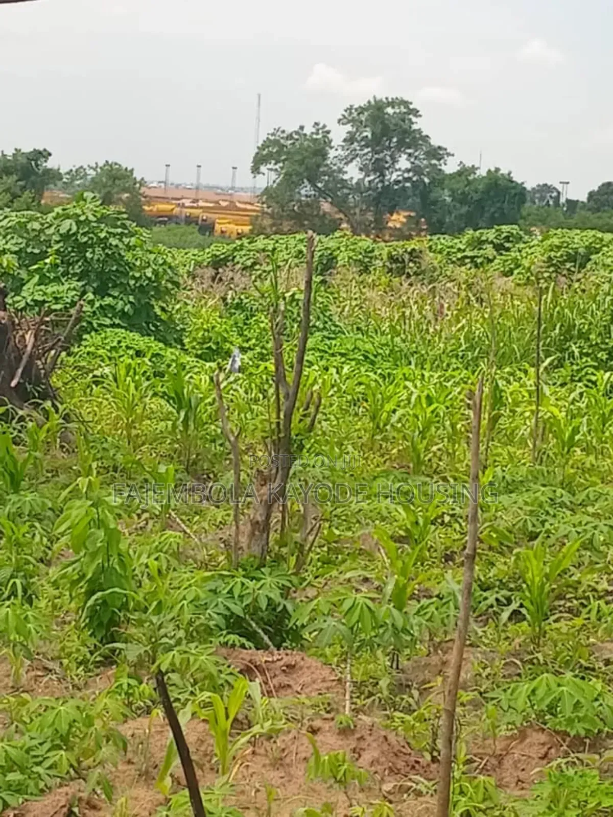 A Plot of Land at Akinyele