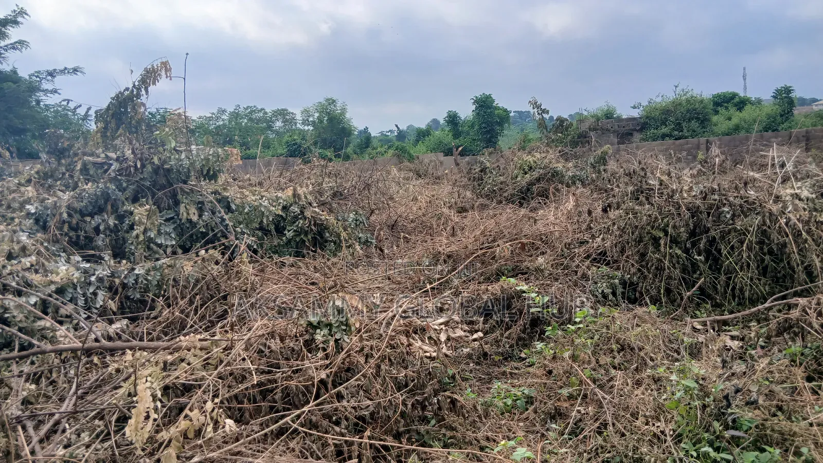 Standard Plot of Land for Sale