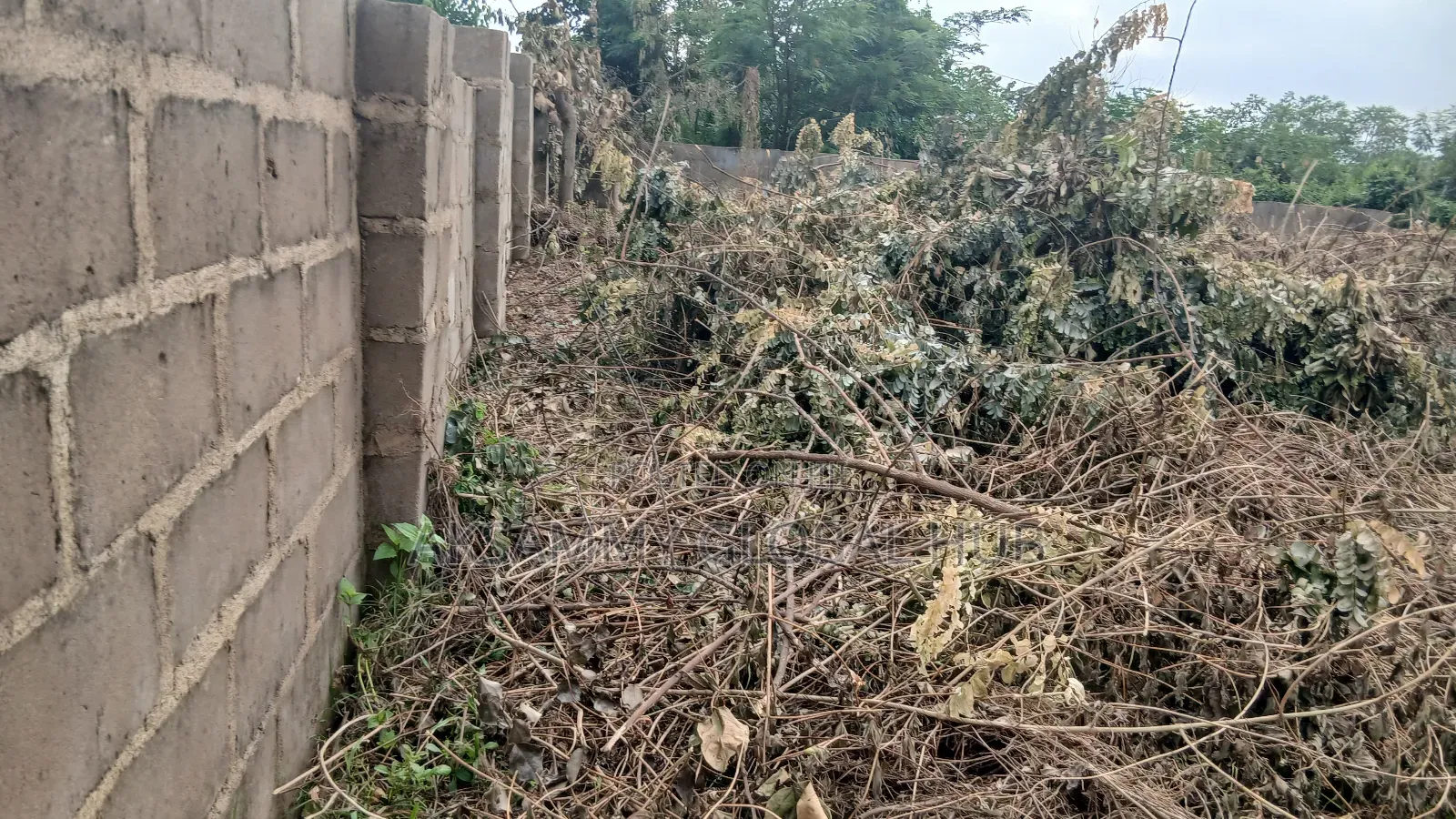 Standard Plot of Land for Sale
