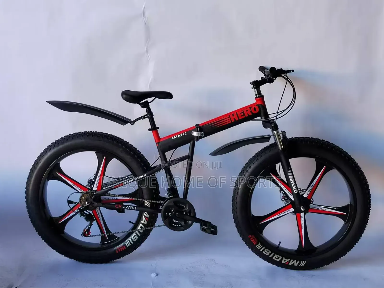 Foldable Alloy Wheel Big Tire Bike
