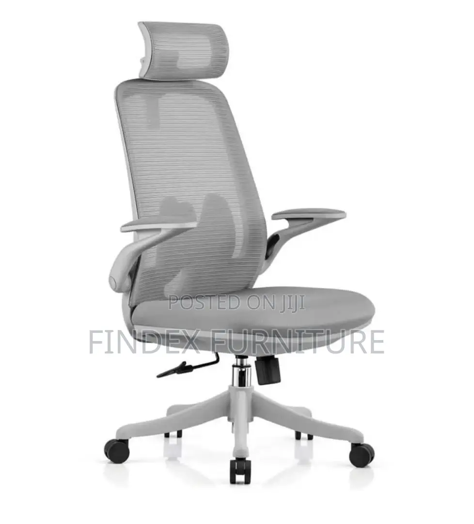 Executive Office Chair