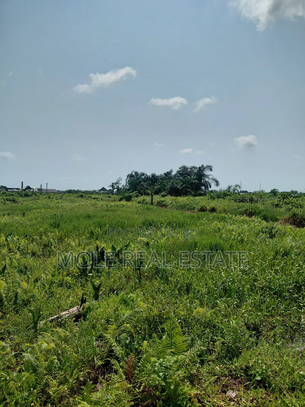 3600sqm ( One Acer) Commrcial Land Facing Alakuko Road