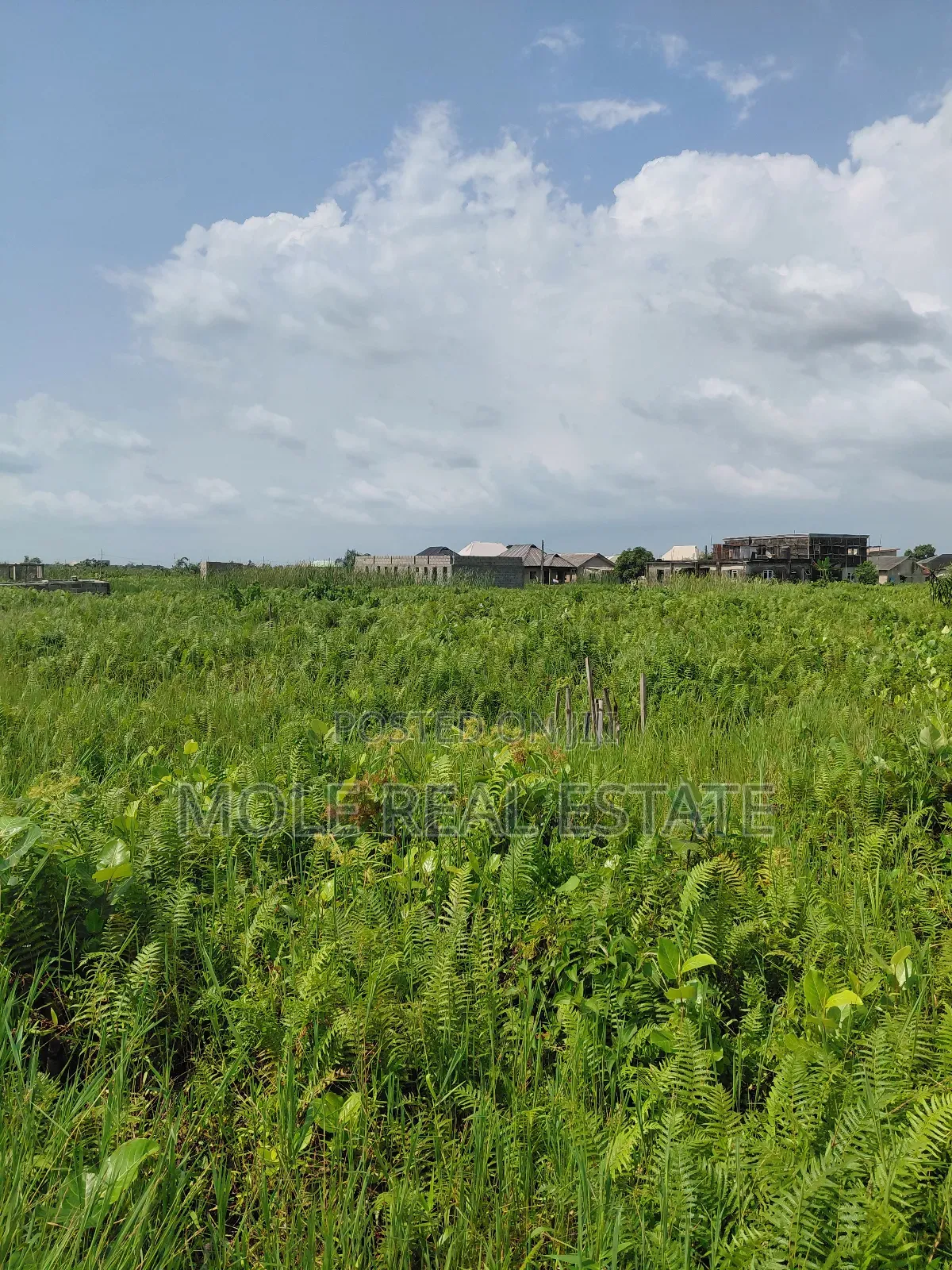 22 Plots of Commercial Land Oshodi Mushin Expressway