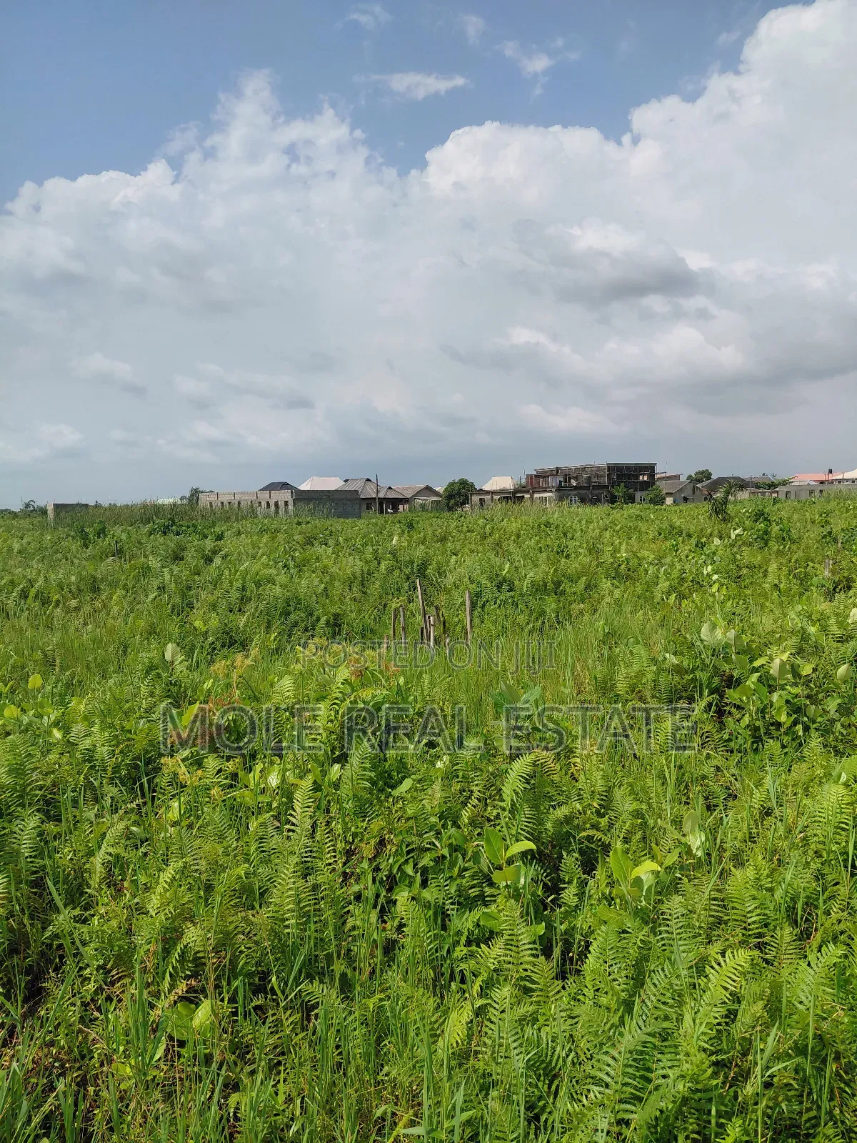 22 Plots of Commercial Land Oshodi Mushin Expressway