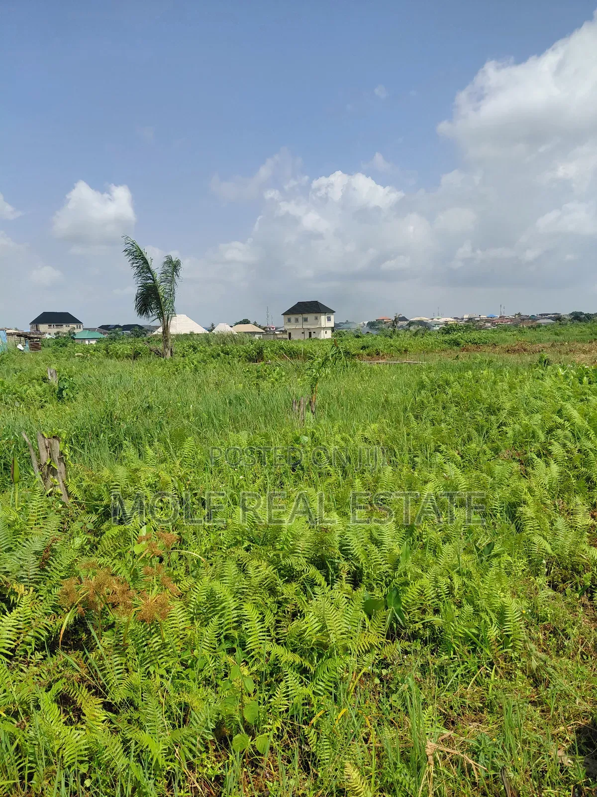 60ft by 170ft ( One and Half ) Kola/Meiron Lagos Abeokuta Expressway