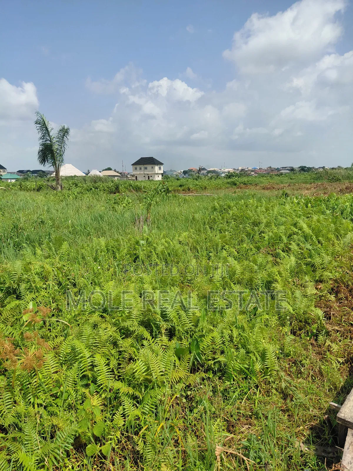 60ft by 170ft ( One and Half ) Kola/Meiron Lagos Abeokuta Expressway
