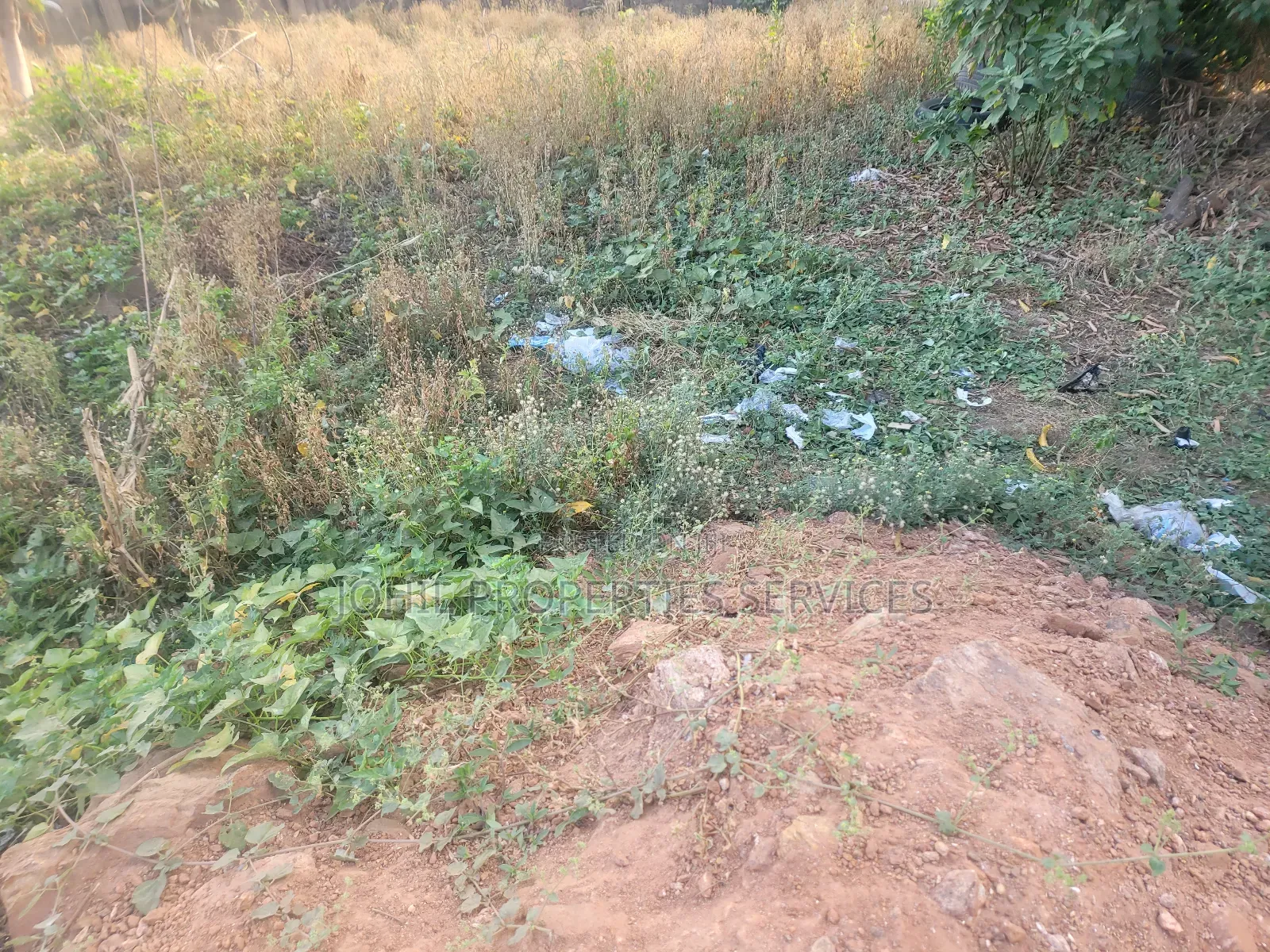 150 Hectares of Land for Sale at Wasa District With R of O for 17 Bil